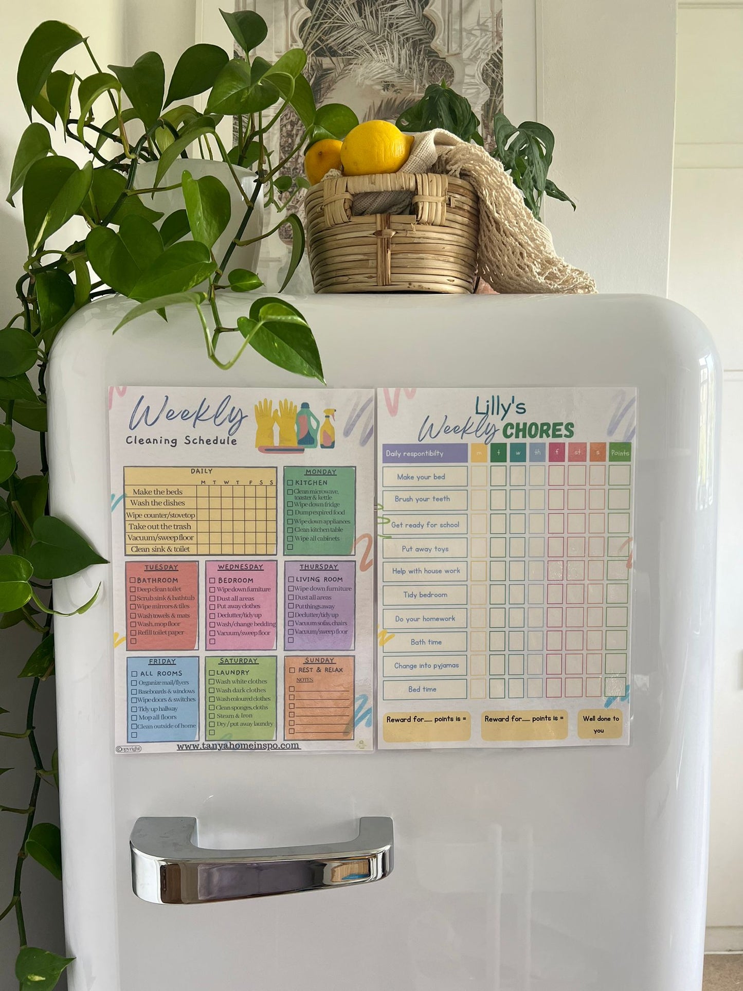 Laminated Adults & Kids Matching Cleaning Chart Set